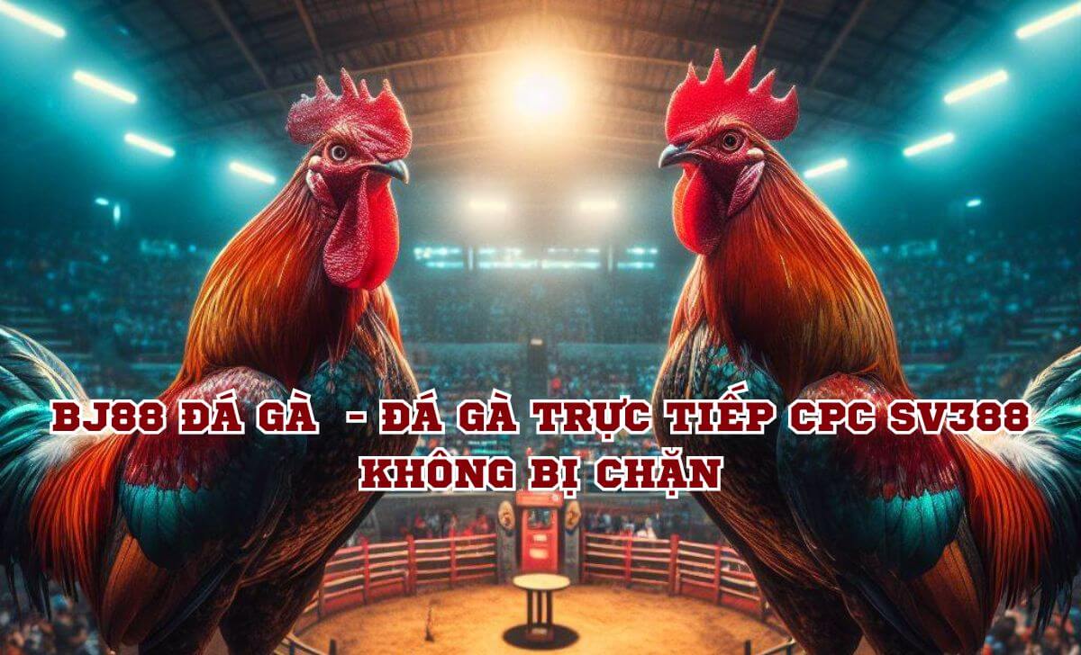 BJ88 đá gà  – Đá gà trực tiếp CPC SV388 không bị chặn