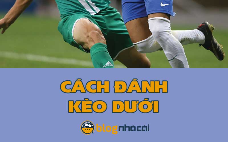 Cách đánh kèo dưới tỷ lệ thắng siêu cao đến 88%