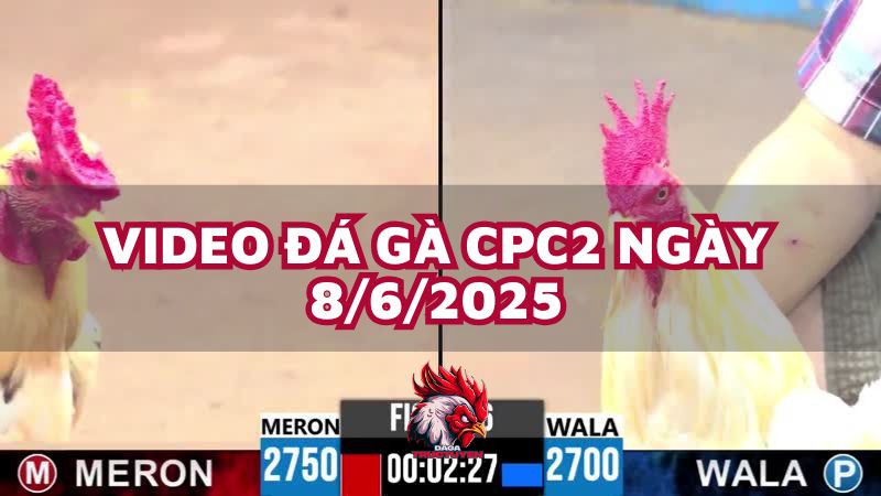 da-ga-cpc2-8-6-25