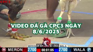 da-ga-cpc3-8-6-2025
