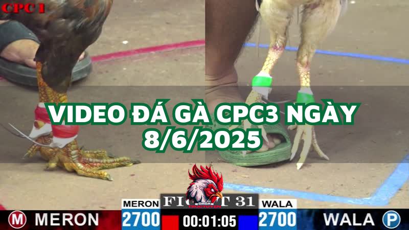 da-ga-cpc3-8-6-2025