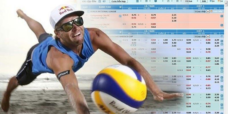 Cá cược bóng chuyền