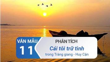 Bài văn phân tích cái tôi trữ tình trong bài thơ 