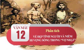 Bài văn phân tích vẻ đẹp tình người và niềm hy vọng vào cuộc sống trong 