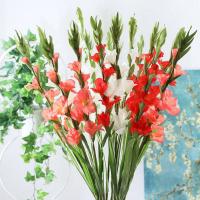 Cách làm hoa nở nhanh nhất