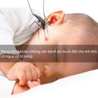 Căn bệnh do muỗi chích gây nguy hiểm cho trẻ
