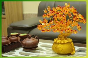 Cửa hàng bán đồ phong thủy uy tín nhất tỉnh Yên Bái