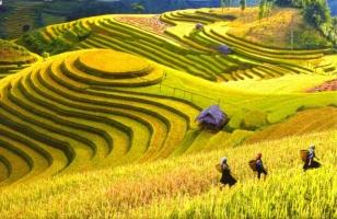 Đặc sản hấp dẫn vùng Tây Bắc