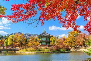 Địa điểm du lịch Hàn Quốc không thể bỏ qua