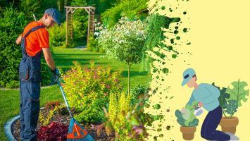 Dịch vụ chăm sóc cây xanh, cảnh quan chuyên nghiệp nhất tỉnh Thanh Hóa