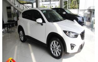 Dịch vụ cho thuê xe du lịch uy tín và chất lượng nhất ở Nha Trang