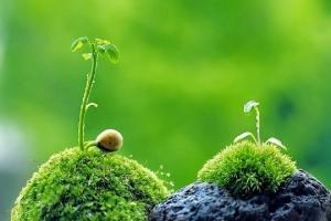 Hiện tượng thiên nhiên đáng sợ nhất trên Trái đất