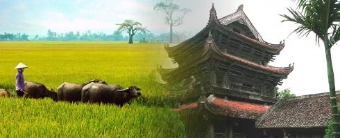 Làng nghề ở Thái Bình