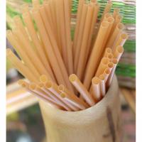 Loại ống hút tốt, thân thiện với môi trường nhất hiện nay