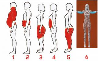 Vị trí dễ tích mỡ trên cơ thể và cách giải quyết