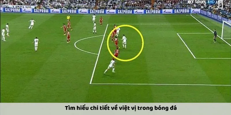 Tìm hiểu các loại hình cá độ việt vị phổ biến